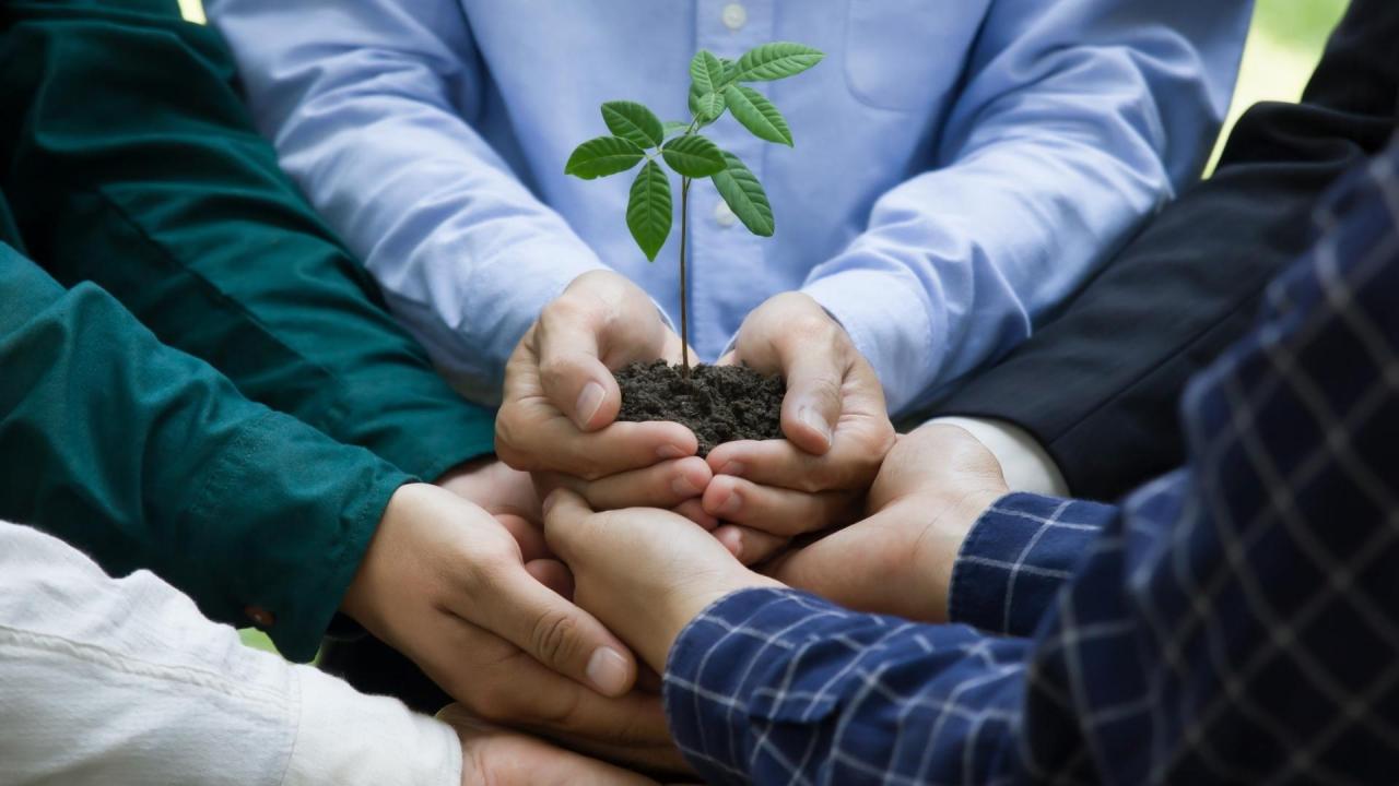 Dando um passo verde: Como incorporar a sustentabilidade em seus eventos